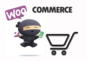 Make a sales website using Woocommerce